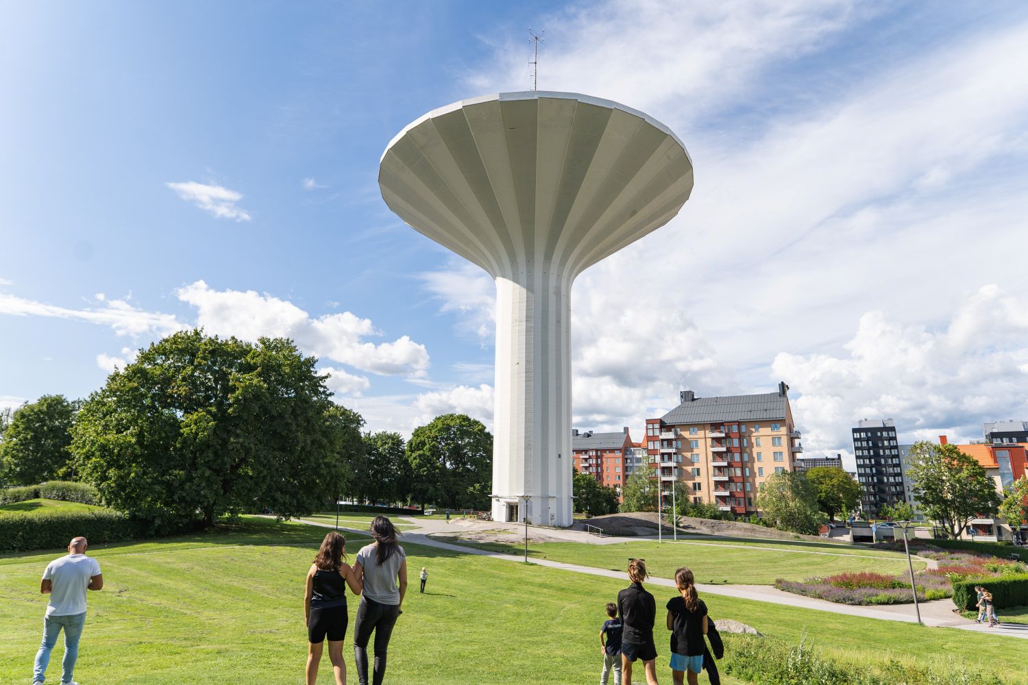 Svampen